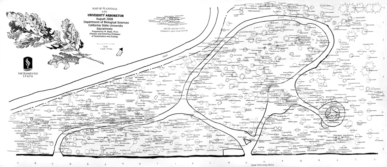 Sacramento State University Campus Map Map